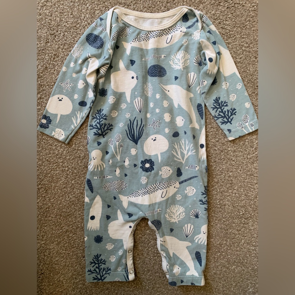 Winter Water Factory Onesie Bundle